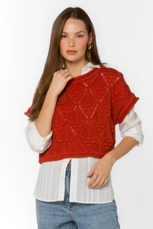 Darlita Copper Sweater