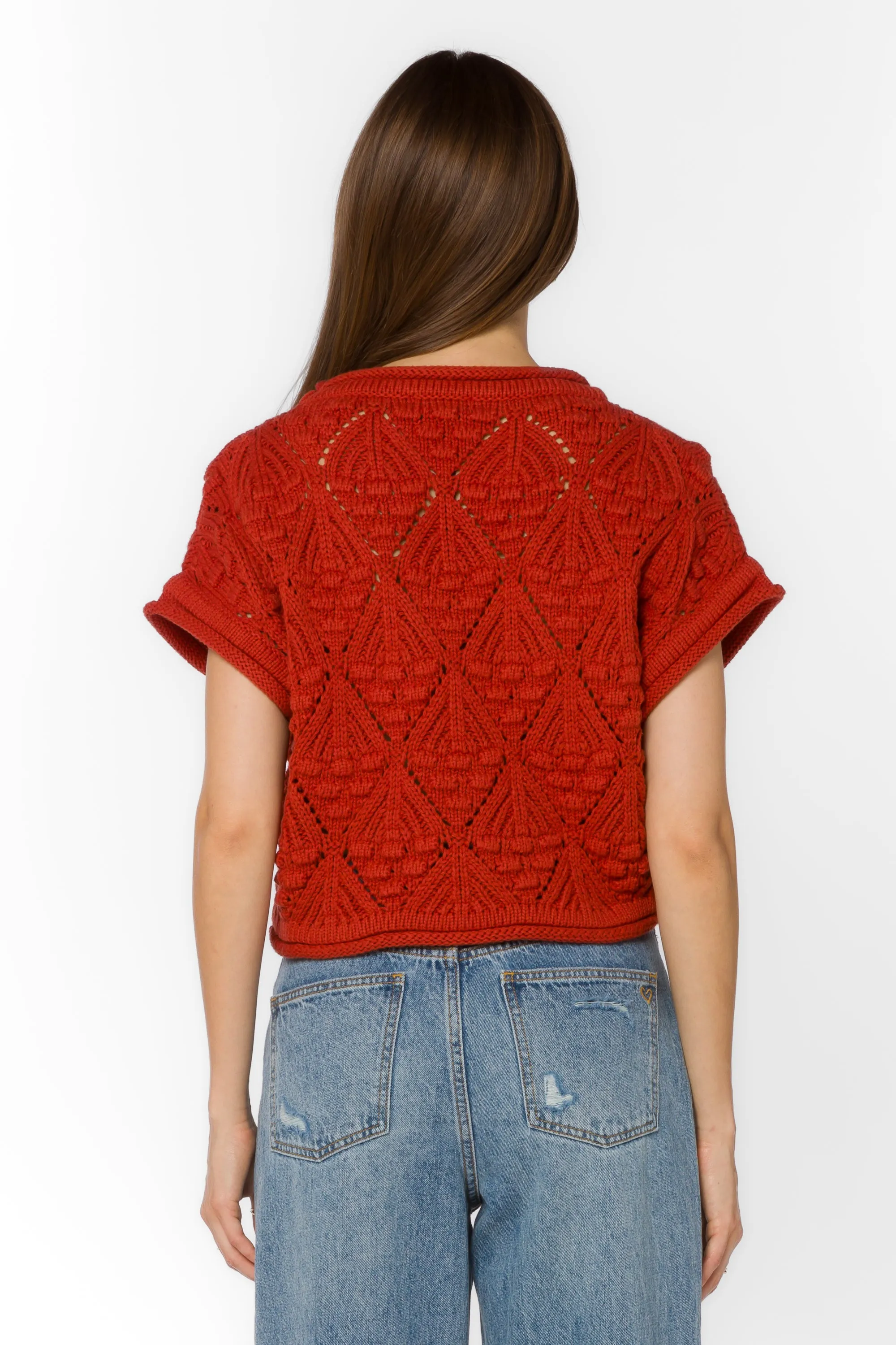 Darlita Copper Sweater