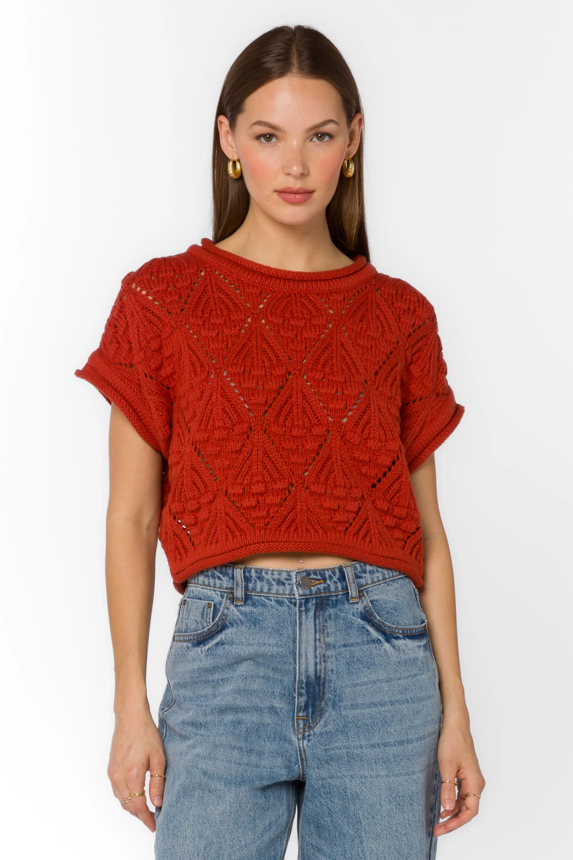 Darlita Copper Sweater