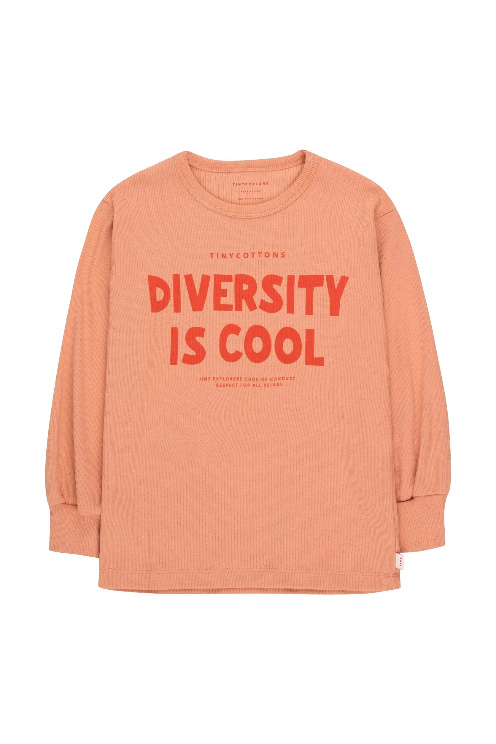 Diversity Is Cool Long Sleeve Tee