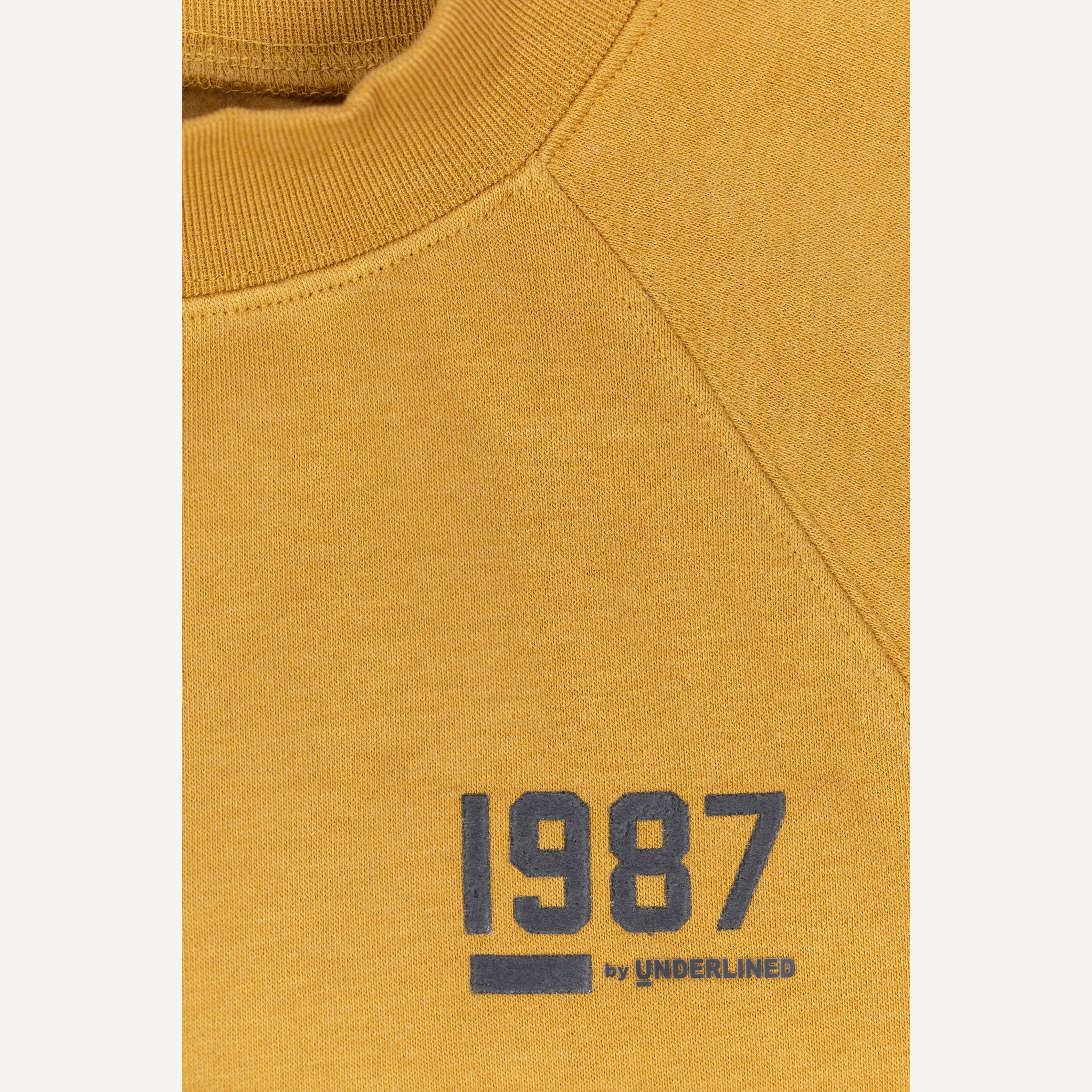 Womens Oversized Raglan Fleece Crewneck Dress - Honey Mustard